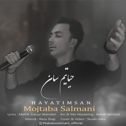 مجتبی سلمانی حیاتیمسان